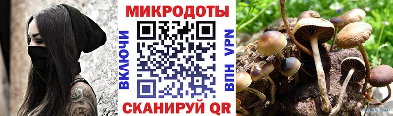 Галлюциногенные грибы GOLDEN TEACHER  Георгиевск 