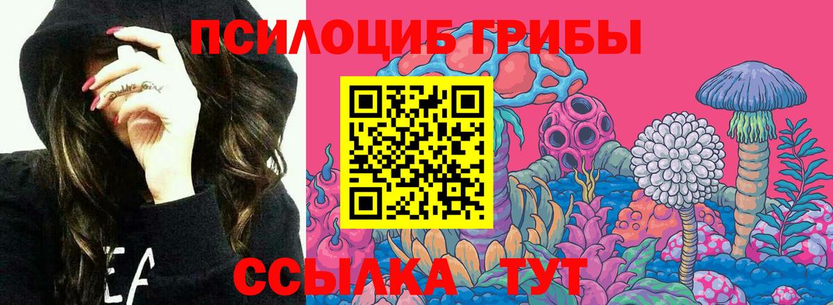 Галлюциногенные грибы MAGIC MUSHROOMS Георгиевск