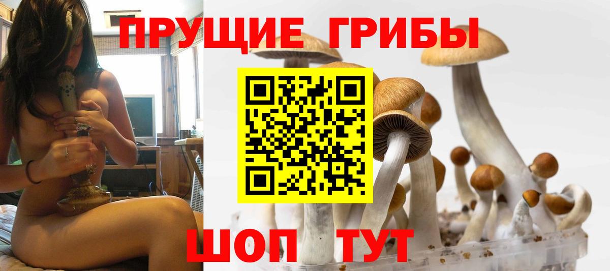 Георгиевск  как найти закладки  Вход с VPN  Псилоцибиновые грибы Psilocybine cubensis 
