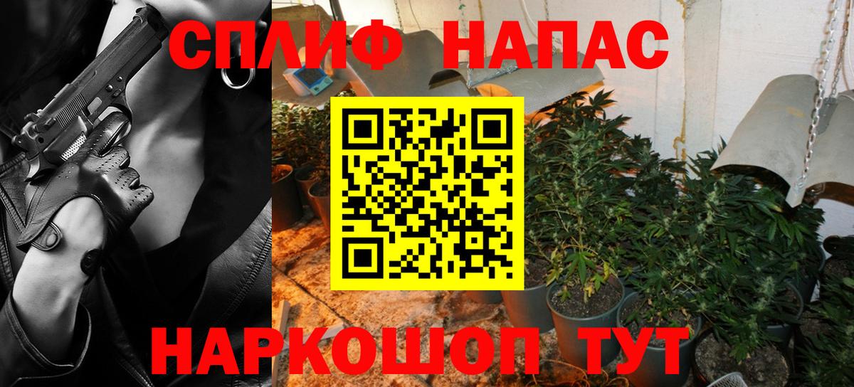 Бошки марихуана сатива Георгиевск
